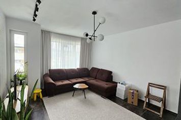 Vilă - 4 camere de inchiriat CLUJ-NAPOCA - Cluj anunturi imobiliare Cluj