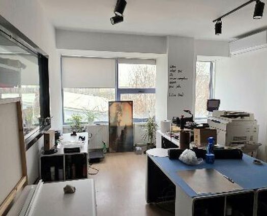 Birou Theodor Pallady, 120 mp