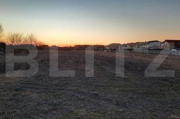 Teren de vanzare GHIRODA - Timis anunturi imobiliare Timis