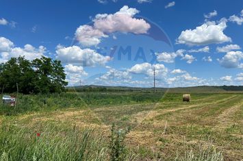 Teren intravilan, 2,900 mp Jucu de Sus, la asfalt anunturi imobiliare Cluj