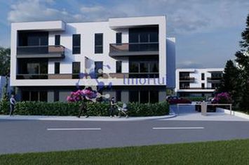 Investiția ideală în inima Iașului – 1 cameră lângă Palas Mall anunturi imobiliare Iasi