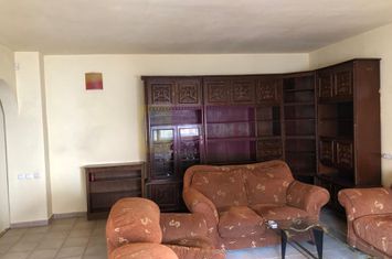 Vila fix Parcul Tineretului P+1 ~190mp curte locuri de parcare & garaj anunturi imobiliare Bucuresti