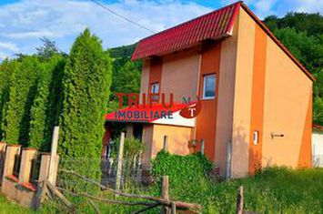 Casă - 5 camere de vanzare PERIFERIE - Alba anunturi imobiliare Alba