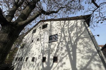Hala si curte betonata, 470 mp, Zona Telegrafului anunturi imobiliare Timis