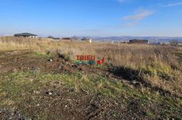Teren Intravilan de vanzare CETATE - Alba anunturi imobiliare Alba