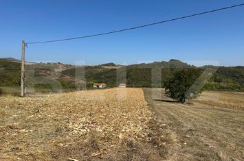 Teren de vanzare VINTU DE JOS - Alba anunturi imobiliare Alba