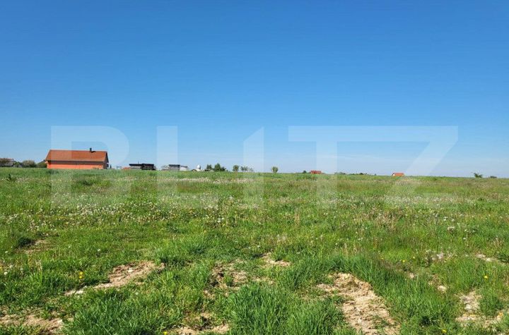Teren de vanzare RONTAU - Bihor anunturi imobiliare Bihor