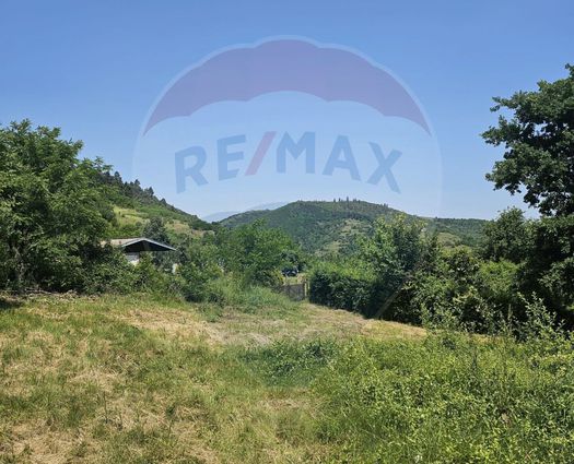 Teren Intravilan Sud-Est, 3383 mp