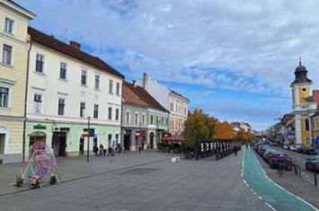 [ Ocazie rară ] Apartament maiestuos, Bd. Eroilor, etaj 1 anunturi imobiliare Cluj