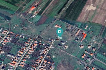 Loc de casa de 512mp în Livada anunturi imobiliare Arad