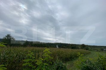 Teren de vanzare BISTRITA - Bistrita-Nasaud anunturi imobiliare Bistrita-Nasaud