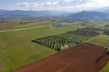 Teren agricol 3.353 mp în Kiria, lângă drumul provincial anunturi imobiliare Grecia