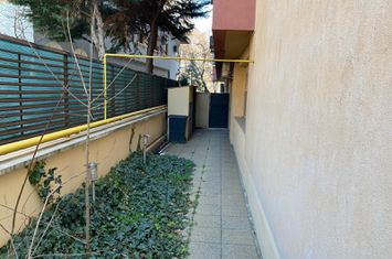 Inchiriere spatiu comercial P+1 230mp curte terasa ideal investitie Aviatorilor anunturi imobiliare Bucuresti