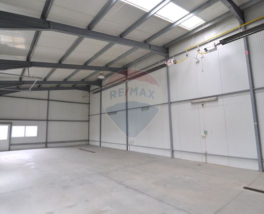 Spațiu industrial Goranu, 248 mp