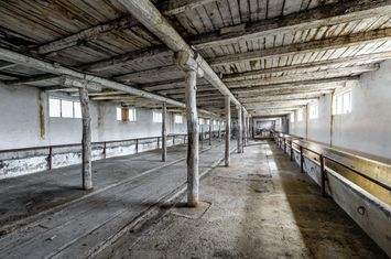 Fermă Mândruloc 25.000 mp anunturi imobiliare Arad