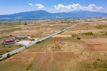 Teren construibil 5.500 mp pe E.O. Drama - Prosotsani anunturi imobiliare Grecia