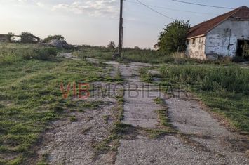 Ferma Zootehnică Mixtă – Cernateaz, Timiș | 9,5 ha | Hale Moderne, Casă 2019, vanzare sau schimb pentru jumatate din valoare anunturi imobiliare Timis