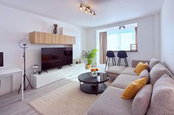 Centrala Proprie Renovat complet 2025 mobilat vedere parc Metrou Titan anunturi imobiliare Bucuresti