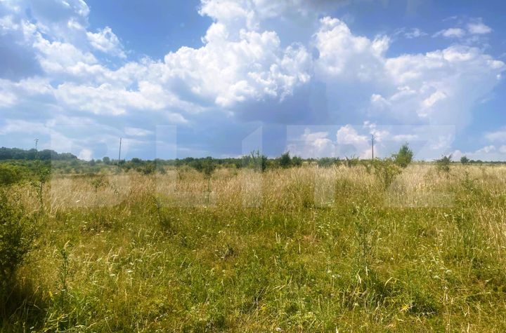Teren de vanzare SALICEA - Cluj anunturi imobiliare Cluj