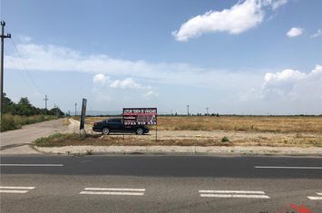 Teren Intravilan de vanzare NORD - Vrancea anunturi imobiliare Vrancea
