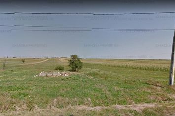 Teren intravilan situat in Oglinzi, loc. Raucesti, jud. NEAMT anunturi imobiliare Neamt