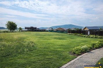 Vilă - 5 camere de vanzare BOD - Brasov anunturi imobiliare Brasov