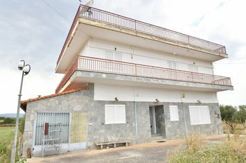 Casă cu două apartamente, 202 mp în Therma Nigrita anunturi imobiliare Grecia