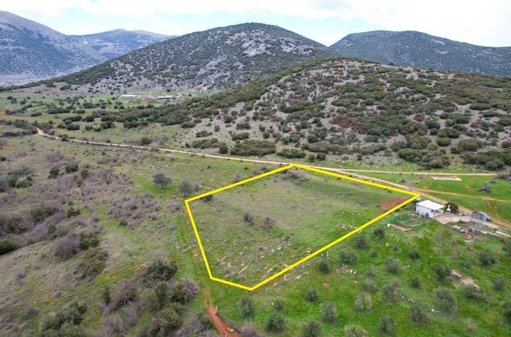 Teren construibil 5.500 mp în Xiropotamos, Drama anunturi imobiliare Grecia