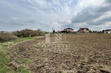 Parcele 550 mp, PUZ nou, langa case construite, asfalt, SAG-Manastire anunturi imobiliare Timis