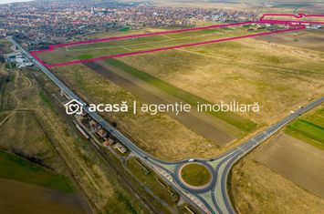 Teren industrial 42 ha Vama Nadlac anunturi imobiliare Arad