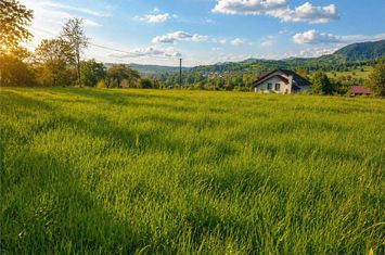 Teren Intravilan de vanzare IBANESTI - Mures anunturi imobiliare Mures