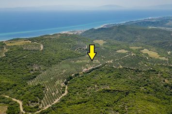 Teren 16.000 mp, Kariani (Kavala) anunturi imobiliare Grecia
