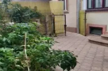 Casa Unirii-rond Regina Maria-Gazelei anunturi imobiliare Bucuresti