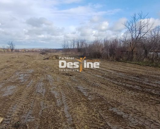 Teren Mogosesti, 1925 mp