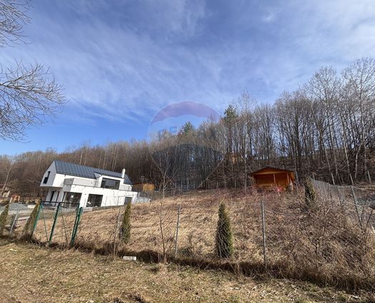 Teren Intravilan Cisnadioara, 591 mp