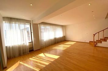 Apartament tip triplex, 6 camere, terasa, zona Herastrau anunturi imobiliare Bucuresti