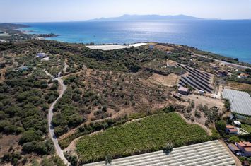 Teren 8.813 mp, la 350 metri de mare — Paralia Folias anunturi imobiliare Grecia