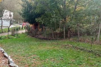 Teren de vanzare CISNADIOARA - Sibiu anunturi imobiliare Sibiu