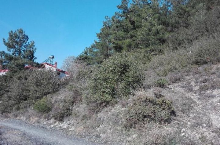Teren construibil 402,45 mp — Amigdaleonas anunturi imobiliare Grecia