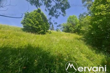 Teren Intravilan de vanzare BUSTENI - Prahova anunturi imobiliare Prahova