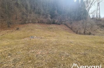Teren Intravilan de vanzare VALEA DOFTANEI - Prahova anunturi imobiliare Prahova