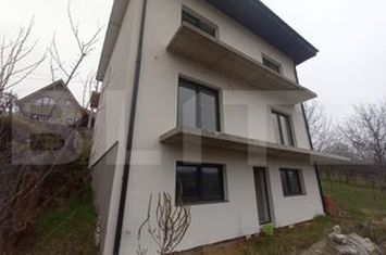 Vilă - 5 camere de vanzare BACIU - Cluj anunturi imobiliare Cluj