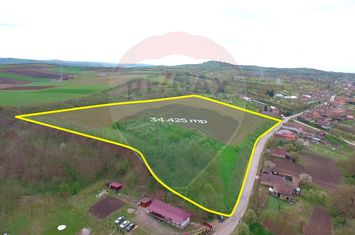 Teren intravilan, Bădeni - Turda, judetul Cluj anunturi imobiliare Cluj