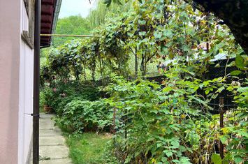 Casă - 3 camere de vanzare BAILE GOVORA - Valcea anunturi imobiliare Valcea
