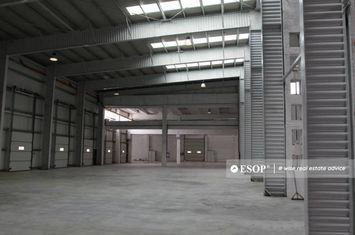 Spațiu industrial de inchiriat BRAGADIRU - Bucuresti anunturi imobiliare Bucuresti
