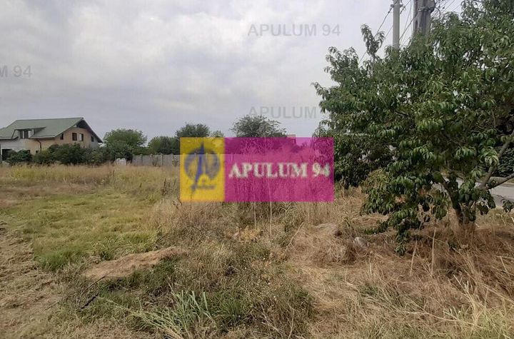 Teren 1490 Copăceni din care 970mp pentru casă și 520mp drum de acces anunturi imobiliare Bucuresti