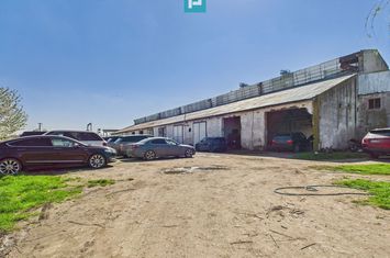 Spațiu industrial, rampă și acces la calea ferată anunturi imobiliare Timis