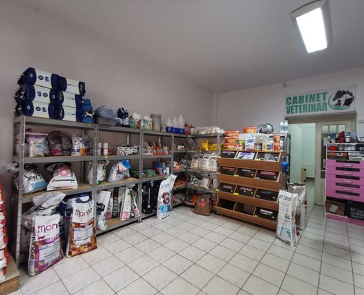 Spațiu comercial Sibiu, 85 mp