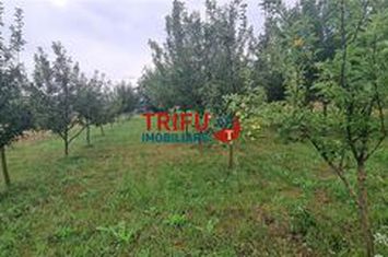 Teren Intravilan de vanzare CENTRAL - Alba anunturi imobiliare Alba