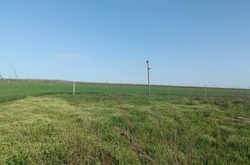 Teren de vanzare COSTINESTI - Constanta anunturi imobiliare Constanta